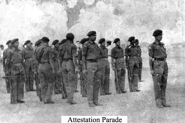THE PARACHUTE REGIMENT (12)
