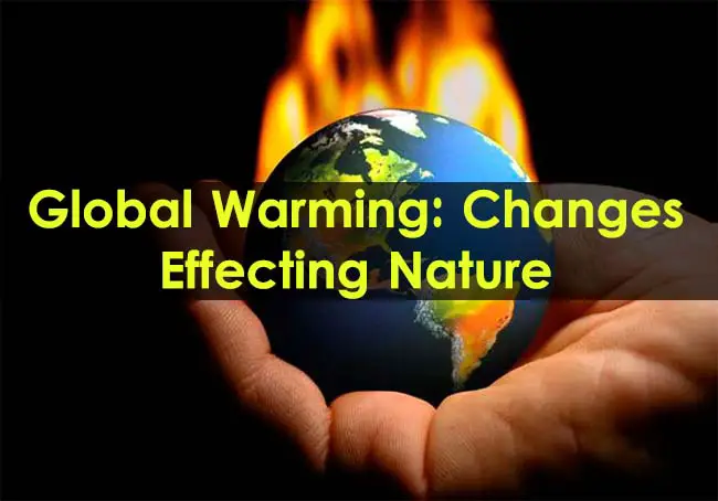Global-Warming-Change-Effecting-Nature