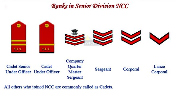 NCC Ranks And Insignia