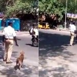 dog-follows traffick police