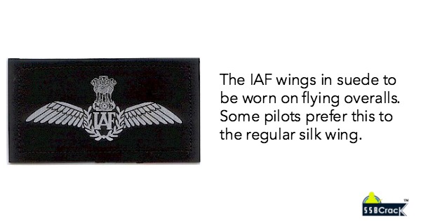 IAF pilot flying badge