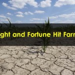 Drought-and-Fortune-Hit-Farmers