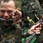 Cobra Gold Exercise