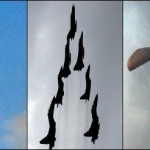 Pictures From IRON FIST Exercise 2016