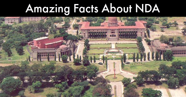 Amazing Facts about NDA