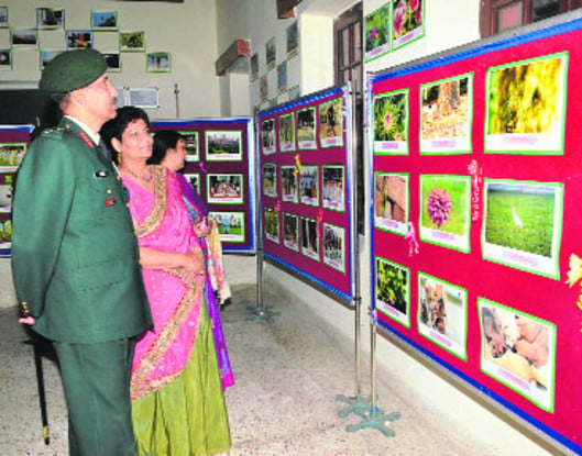 army-cadet-college-passing-out-parade-3