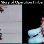 Timber trail featured