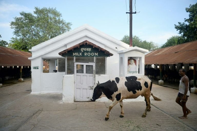 A military farm of Indian Army