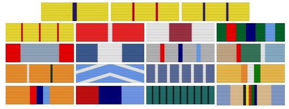 Lt Gen Devraj Anbu Medals