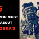 COBRA