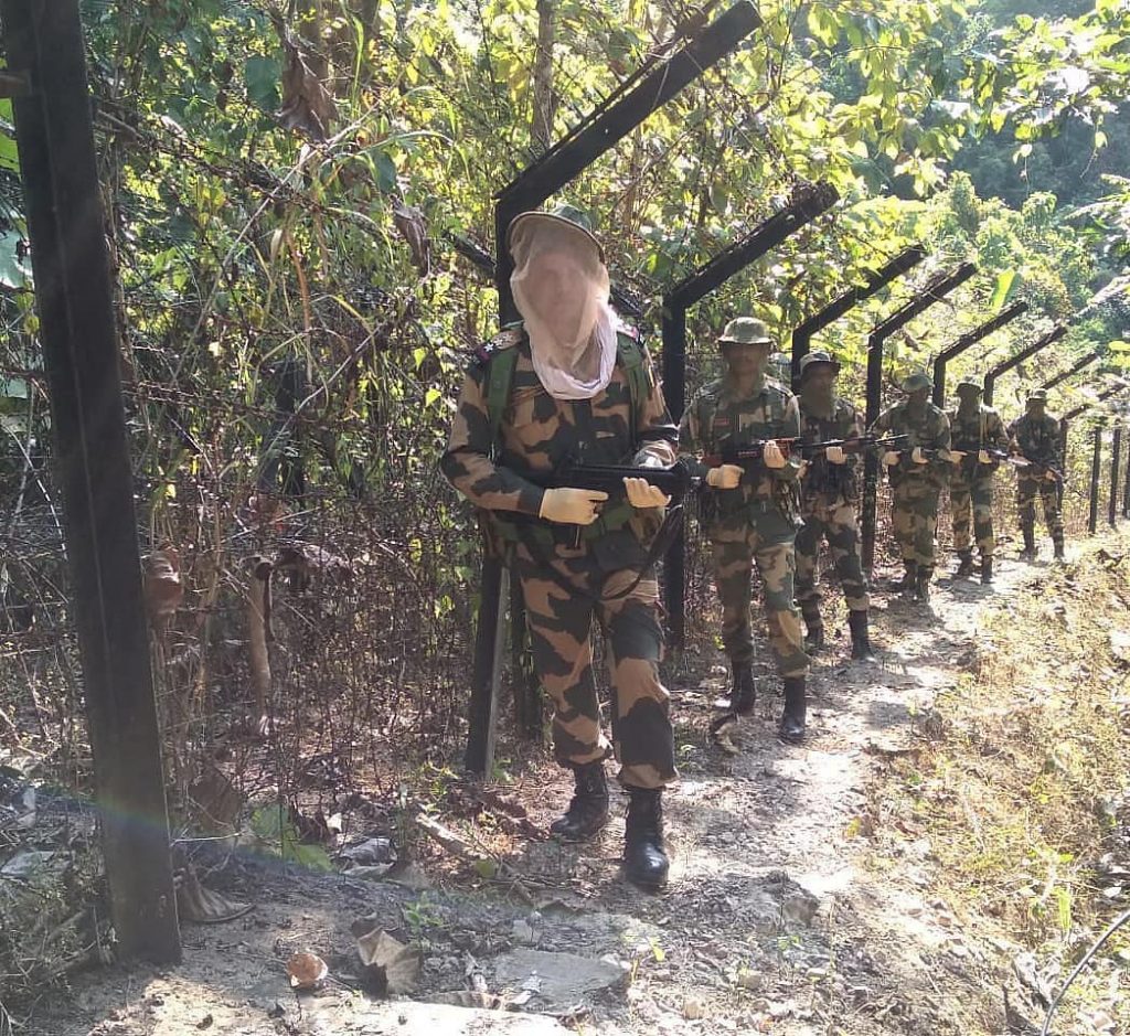 BSF With mosquito nets