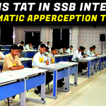 What is Thematic Apperception Test