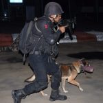 Joint Security Exercise 3
