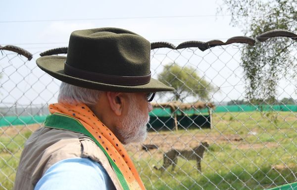 307460321 5833166936734357 6807500226390103655 n