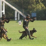 indian army buddy system