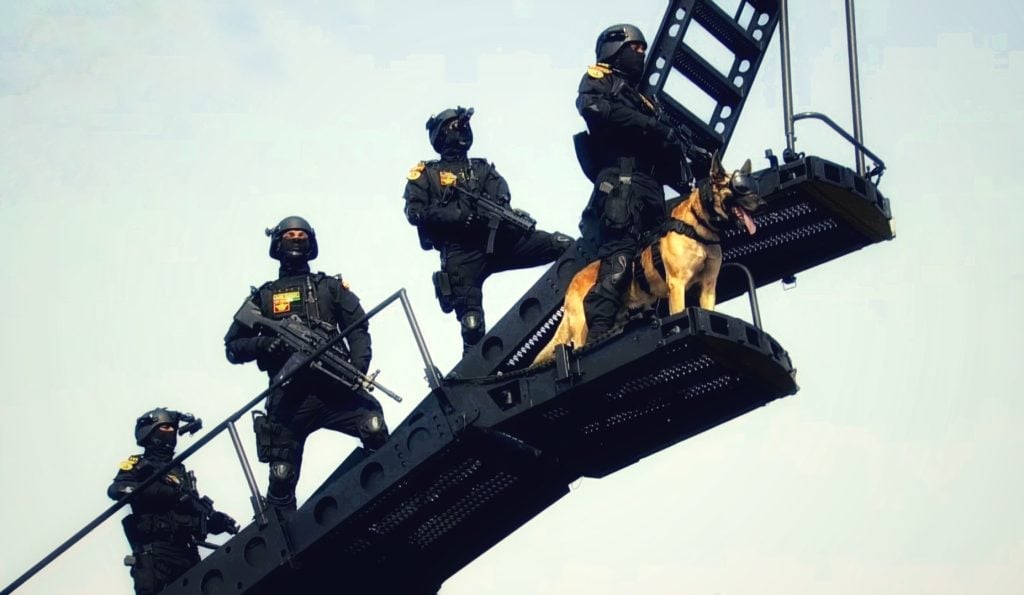 NSG Commandos