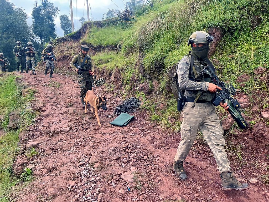 Para SF Pictures 7