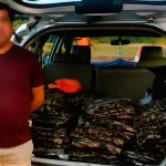army fake uniform