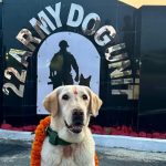 army dog unit