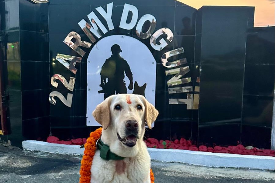 army dog unit