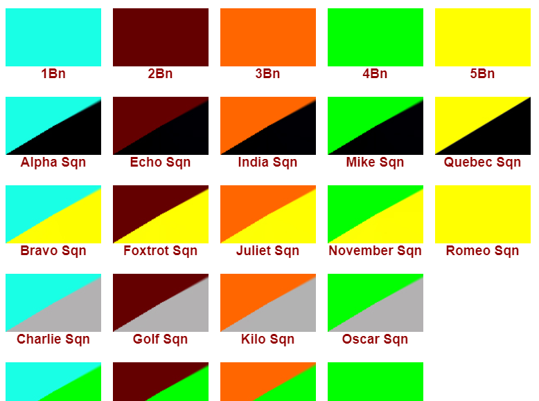 The Battalions Squadrons Colors