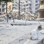 Lebanon Reports Minimum of 21 Fatalities Due to Israeli Strikes in the South on Sunday
