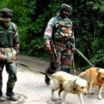 indian army dogs