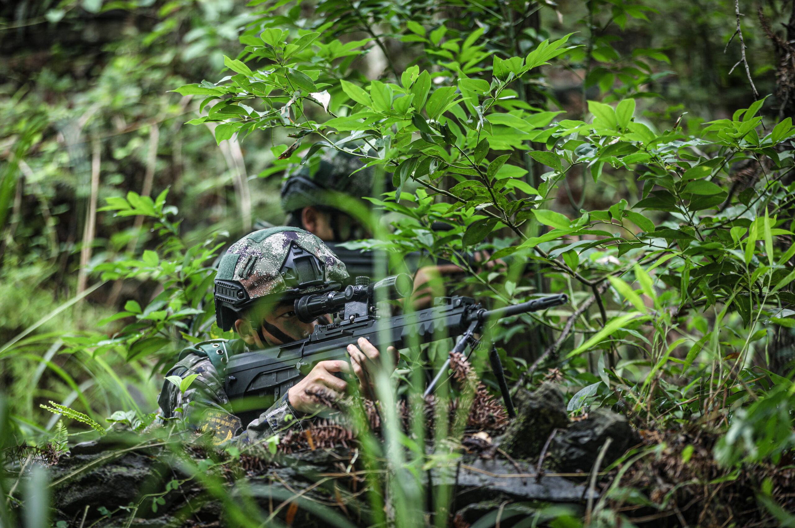 Chinese Scientists Develop Groundbreaking Camouflage Technology for Military Use