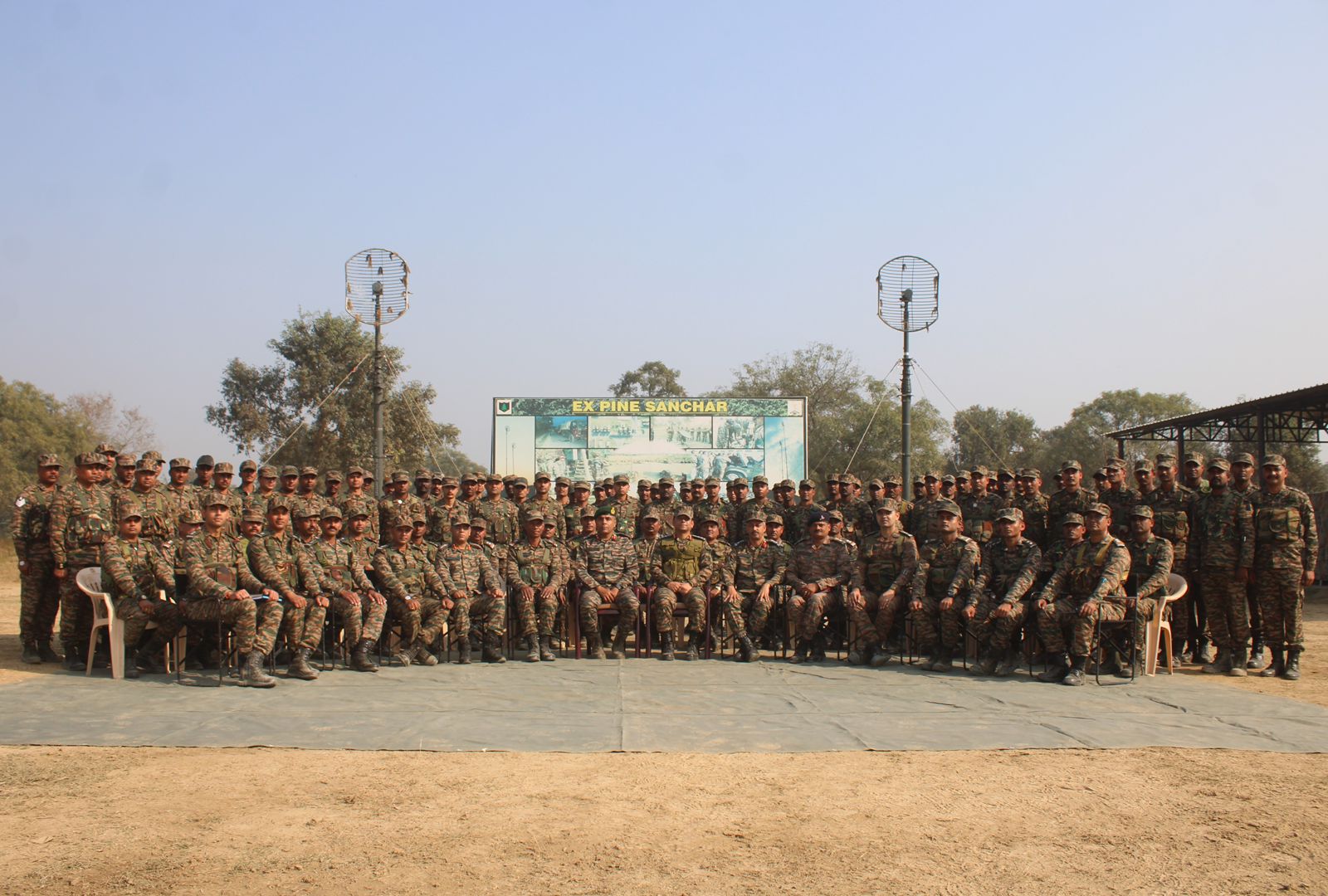 Pine Signallers