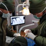 Army Dental Corps notification