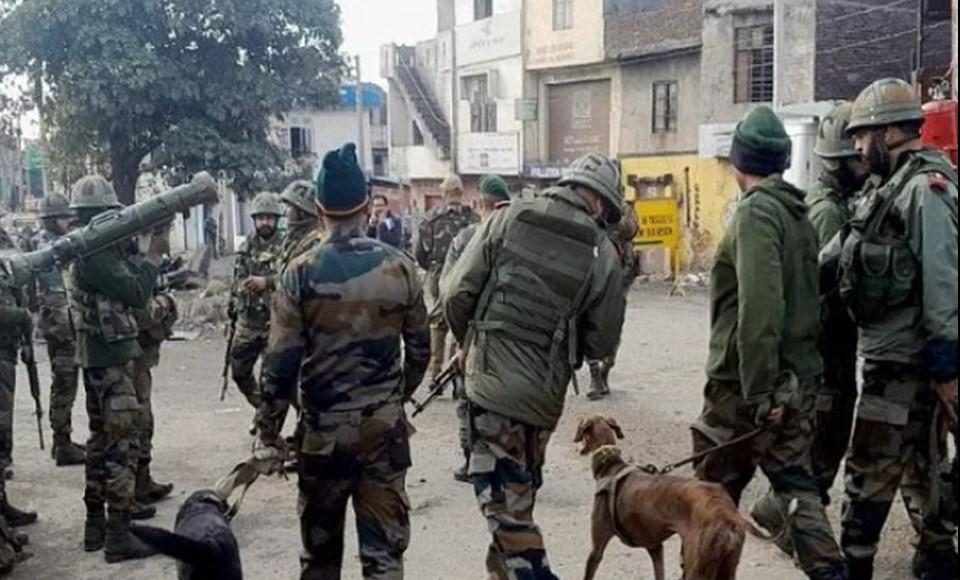 Indian Army Dog Teena