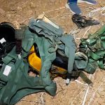 Jaguar Pilot Lost his life