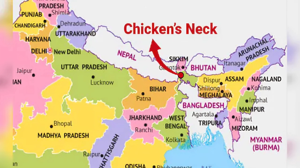 Chicken Neck