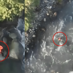 Kulgam Attack Person