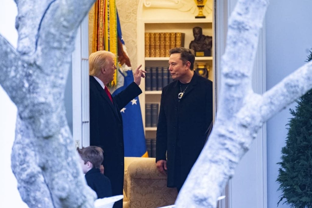 Elon Musk vs. Donald Trump Fight