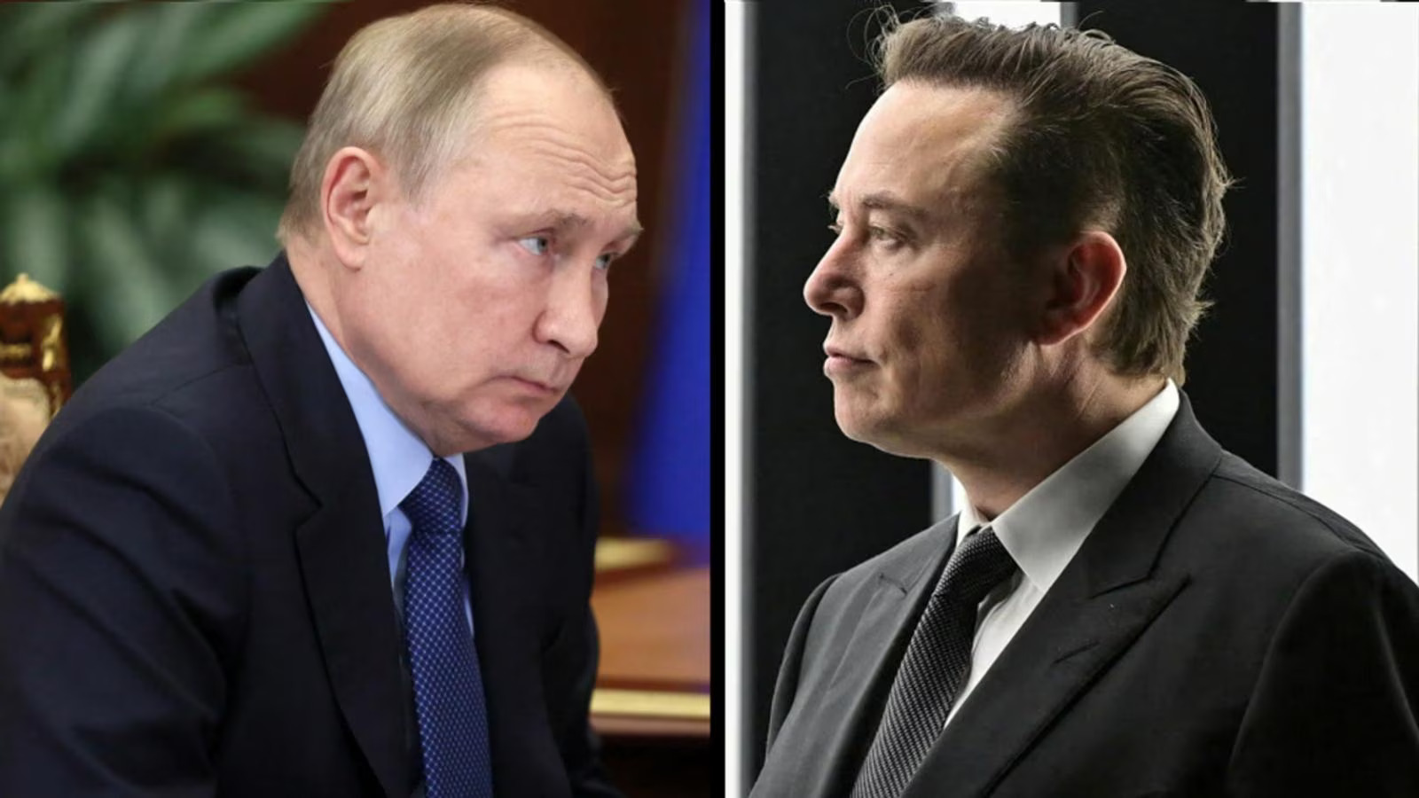 Putin and Musk