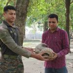 Army Rescues Pangolin